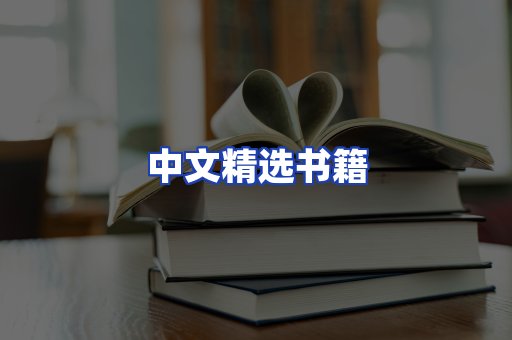 中文精选书籍